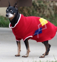 Dog, Sitting, Pet, Boarding, Doggie Daycare, kennel, family, weekly, friendly, safe, stress less, caring, play, running, yard, secure, experience, training, daycare, professional, Paws Abilities, indoor kennel, private, nature, walks, bath, farm, Lanesboro, Preston, Fountain, Harmony, Whalan, Peterson, Rushford, Wykoff, Canton, Spring Grove, Mabel, St. Charles, Eyota, Root River, Camping, Commonweal Theatre, vacation, traveling, dog grooming, Veterans cemetery, Old Bard Resort, Country Trails Inn, Trail Head Inn, Bread and Breakfast, B&B, Tours, Amish, Niagara Cave, Historic Forestville, Stone Mill Suites, Bike Rental, Kayaking, Canoeing, Fishing, Tubing, Safety, Lanesboro Arts, Rochester, Mayo Clinic, Doctoring, Lodging Mayo, Eagle Bluff Environmental Learning Center, Museum, Golfing, Buffalo Bill Days, Gammel Dag Fest, Rushford Days, Winona, Houston, La Crosse, I90, Whalan Stand Still Parade, Aroma Pie Shop, Large, small, miniature, furry, canine, fetch, play, outdoor, indoor, contained, country